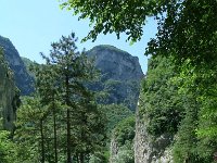 DSCN0131