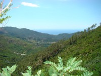 DSC01598